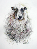 Ewe by Peter Biehl