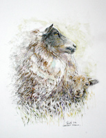 Ewe and lamb by Peter Biehl