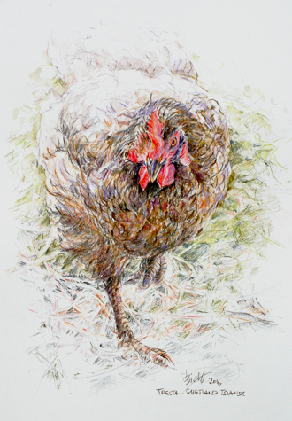 Hen by Peter Biehl
