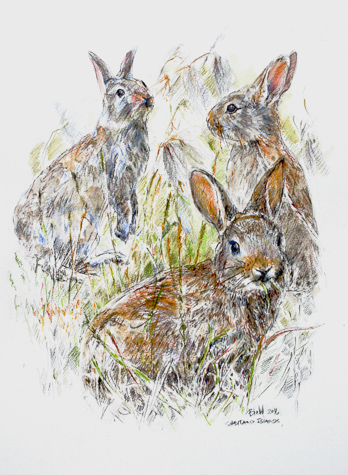 3 Rabbits by Peter Biehl