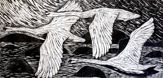 Swans Over Clousta - woodcut by Paul Bloomer
