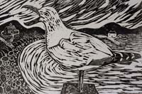 Paul Bloomer woodcut. Noisy Bird - 50 x 60cm