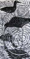 Paul Bloomer woodcut. Black tailed godwits