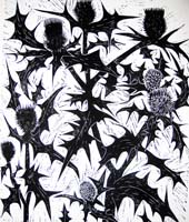 Paul Bloomer woodcut. Thistles - 74 x 61cm