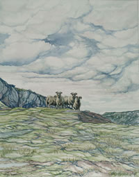 Hill Sheep by Joyce Wark