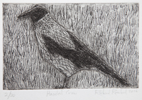 Hooded Crow etching, by Richard Rowland