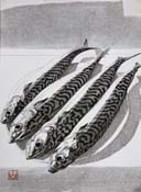 Ron Sandford - linocut print - Mackerel