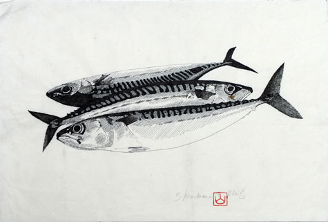 3 Mackerel by Ron Sandford