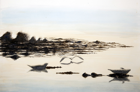 Common seals and Grey Heron at dusk by Howard Towll